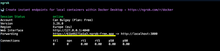 Ngrok Interface